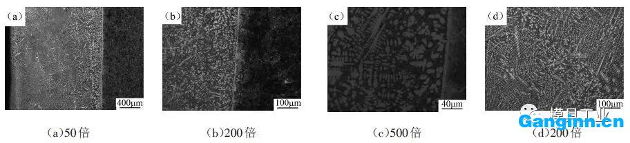 不同倍數(shù)下熔覆層的顯微組織