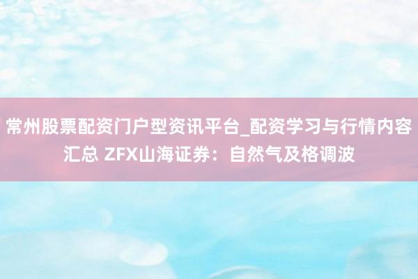 常州股票配资门户型资讯平台_配资学习与行情内容汇总 ZFX山海证券：自然气及格调波