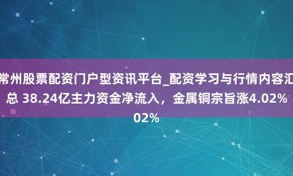 常州股票配资门户型资讯平台_配资学习与行情内容汇总 38.24亿主力资金净流入，金属铜宗旨涨4.02%