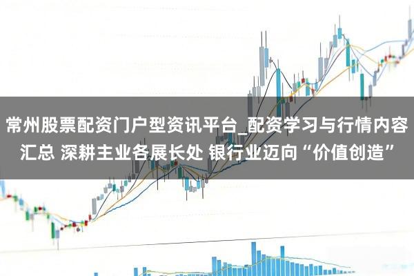 常州股票配资门户型资讯平台_配资学习与行情内容汇总 深耕主业各展长处 银行业迈向“价值创造”