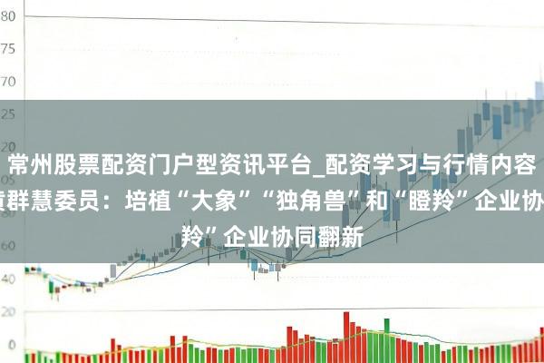 常州股票配资门户型资讯平台_配资学习与行情内容汇总 黄群慧委员：培植“大象”“独角兽”和“瞪羚”企业协同翻新